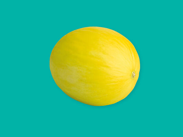Honeydew Melon