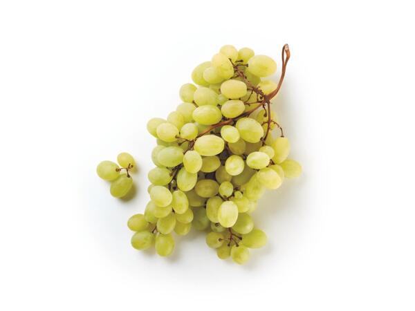White Grapes Mazzarone PGI