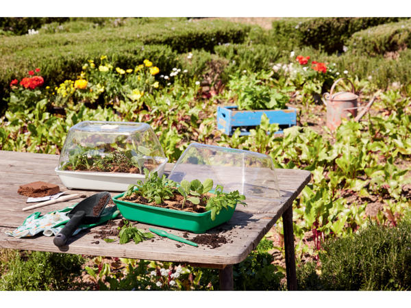Herb/Vegetable Propagator Set with Ventilation Lid
