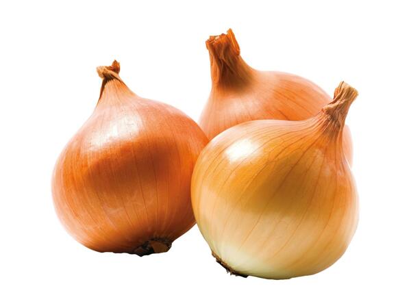Loose Onions