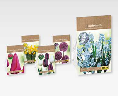 Bulbes de fleur GARDENLINE(R)