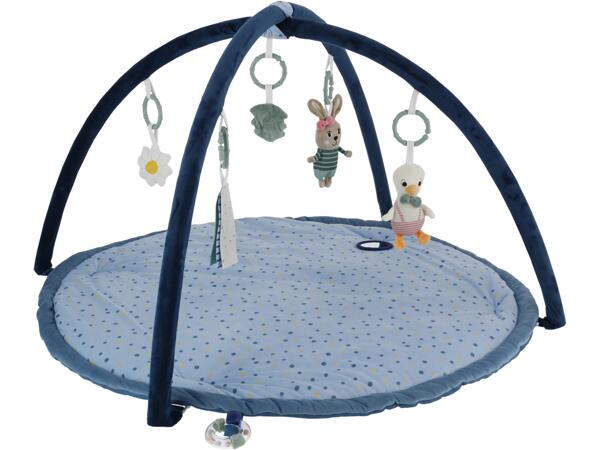 Baby Activity Gym