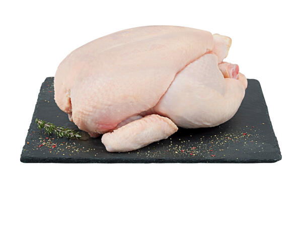 Poulet entier XXL