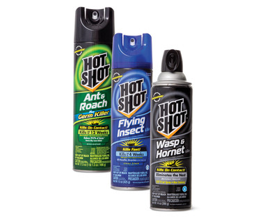 Hot Shot Any & Roach, Flying Insect or Wasp & Hornet Spray