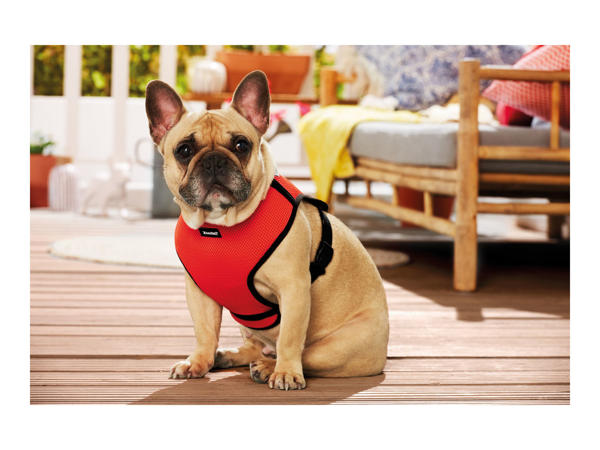 Zoofari Dog Harness1