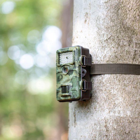 Wildcamera