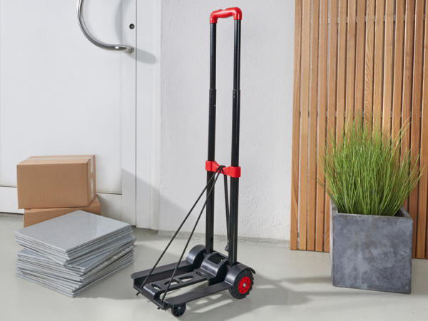 Folding Load Carrier