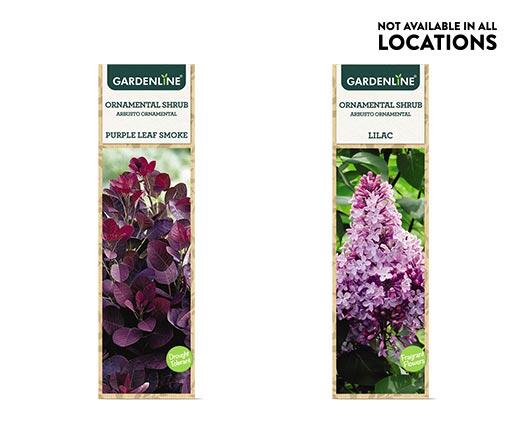 Gardenline 
 Ornamental Shrub Assorted Varieties