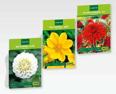 GARDENLINE(R) Blumenzwiebeln