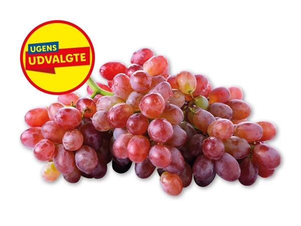 Røde stenfri vindruer