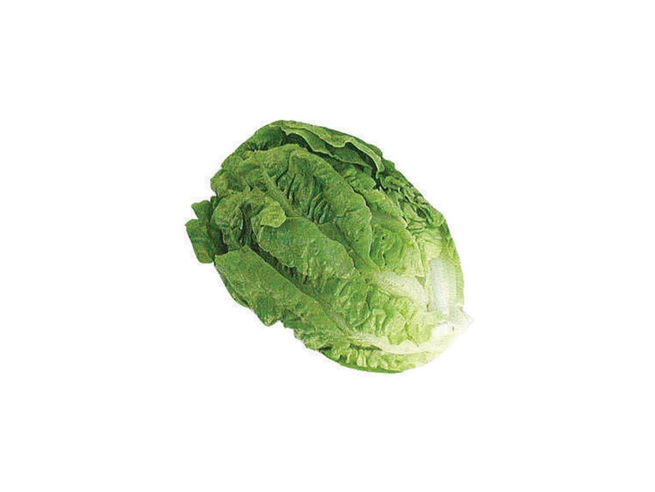 Little Gem Lettuce