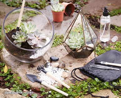 DIY Terrarium Kit