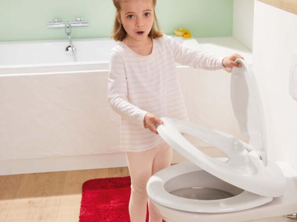 Toilet Seat with Integrated Child Seat