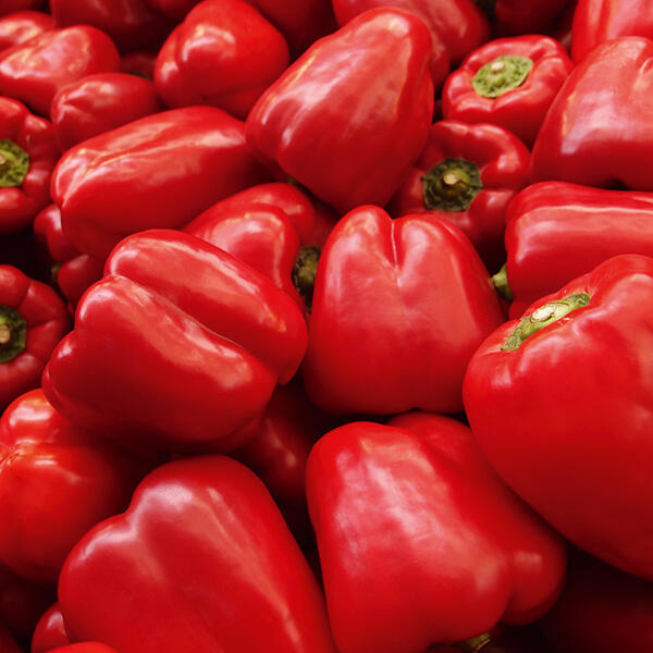 Bio-Paprika