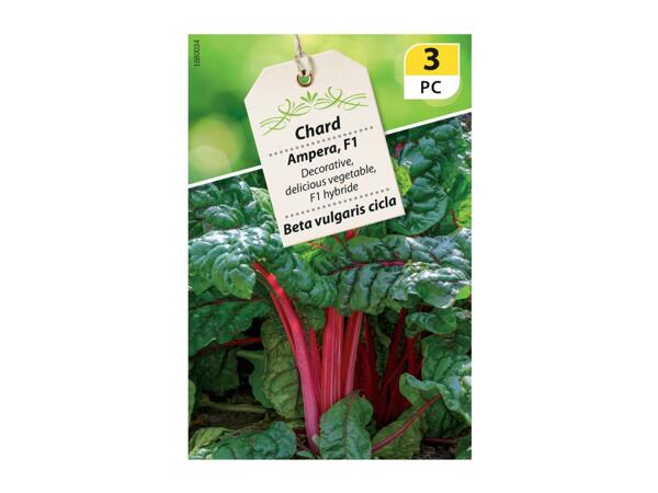 Large Vegetable Seeds - labelled 3