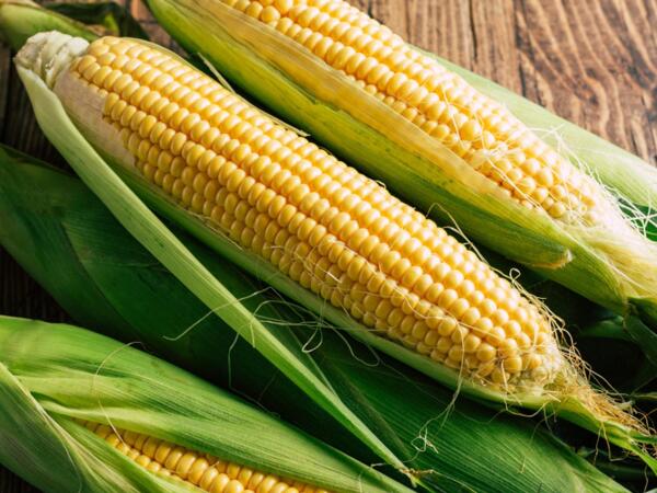 Fresh Corn