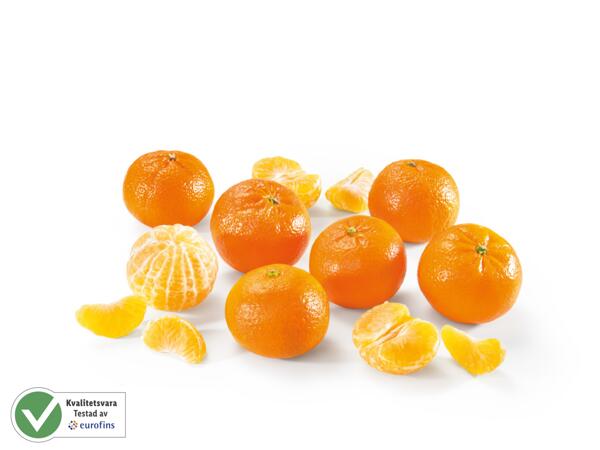 Satsumas