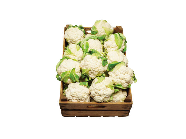 Blomkål