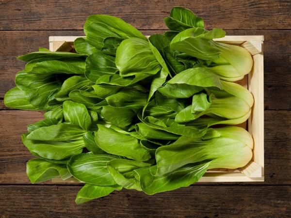 Pak Choi