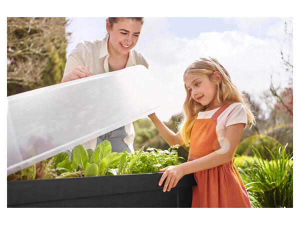 Raised Planter with Cover
