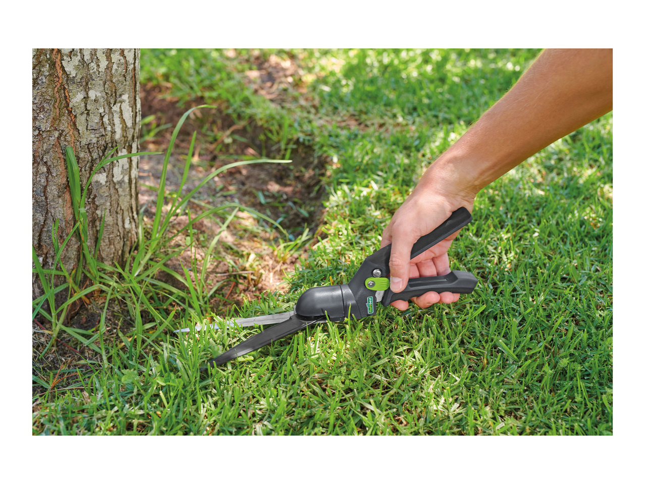 Florabest Grass Shears1