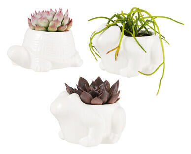 Ceramic Animal Pot with Succulent
