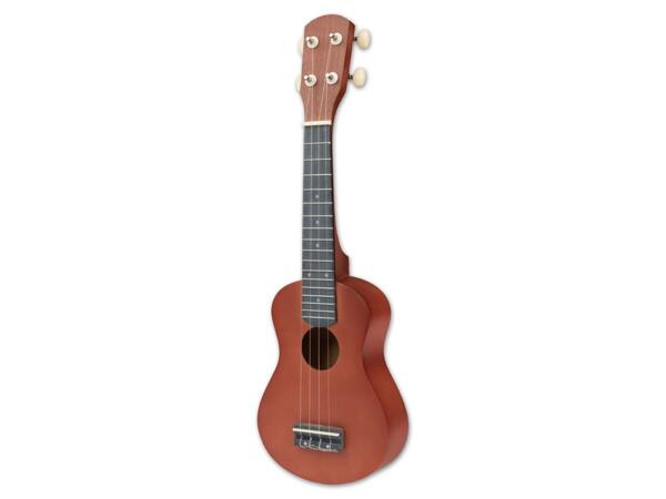 Blockflöte/​Ukulele