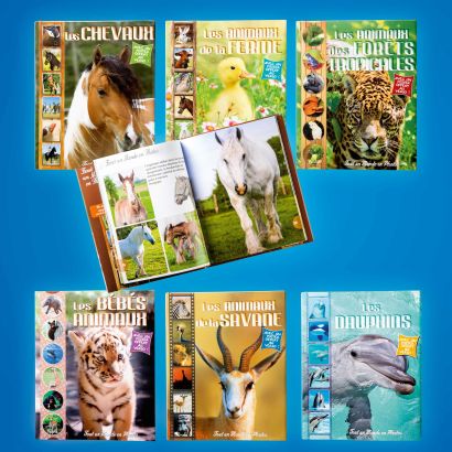 Illustriertes Lernbuch