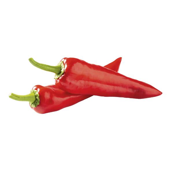 Puntpaprika's