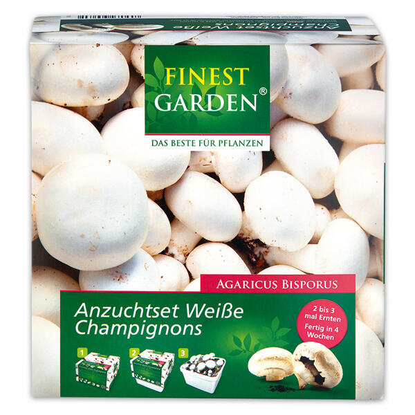 Champignon-Anzuchtset