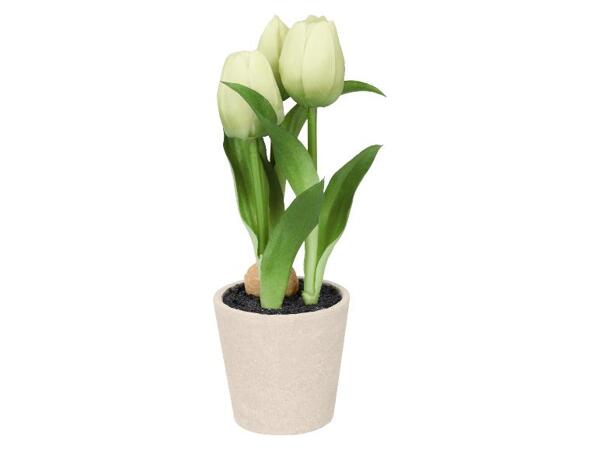 Umělé tulipány