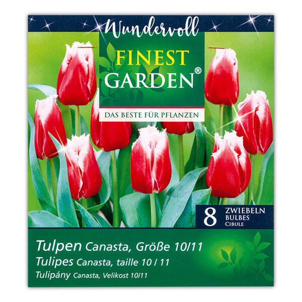 Blumenzwiebel-Mischung "Wundervoll"