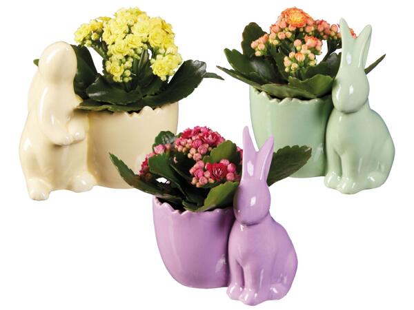 Easter pot
