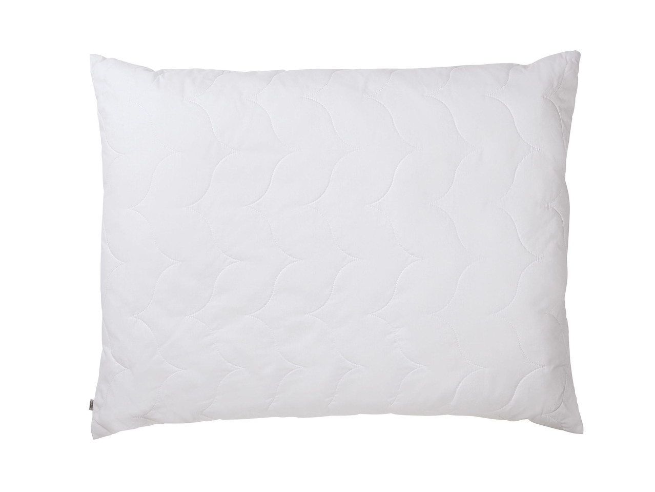 Pillow 50x80cm