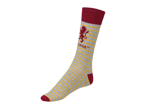 Men's Harry Potter Socks