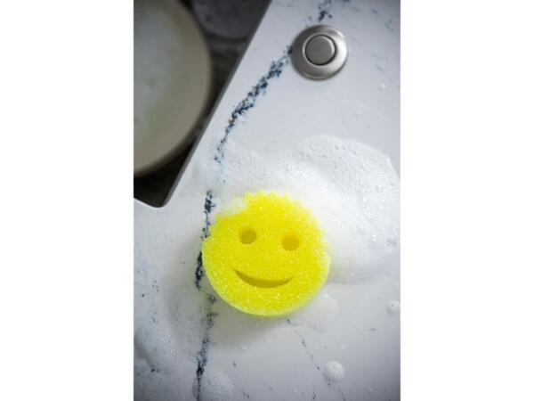 Sponge