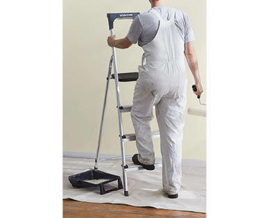 4-Step Household Ladder