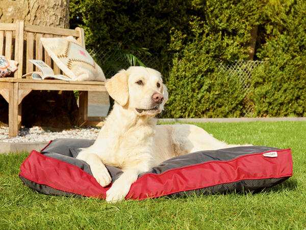 Outdoor Dog Bed