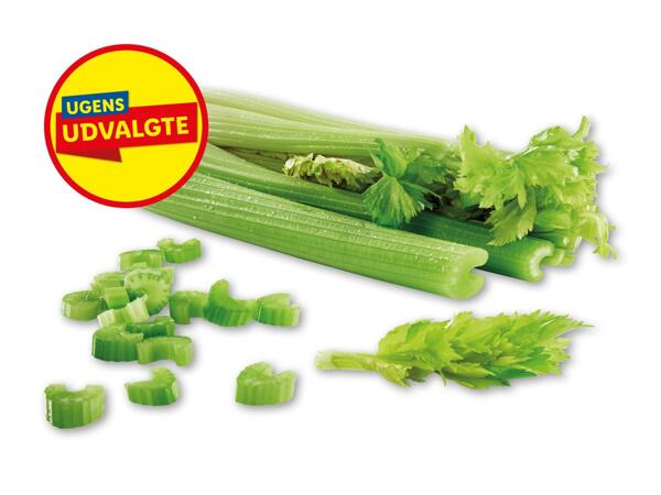Bladselleri