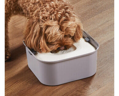 Anti-Splash Pet Bowl Assortment
