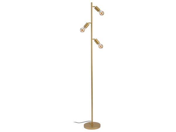 Standing Light