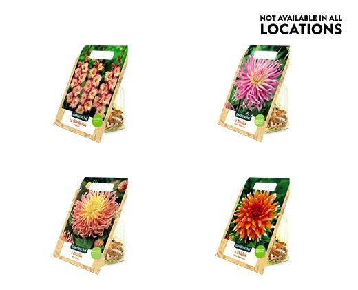Gardenline 
 Spring Bulbs Assorted Varieties