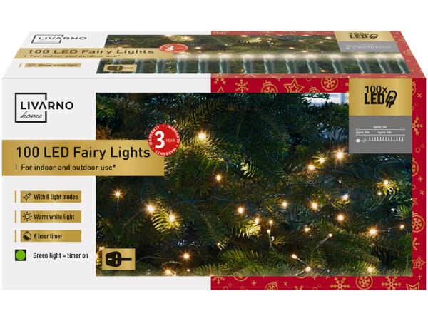 100 LED Fairy Lights