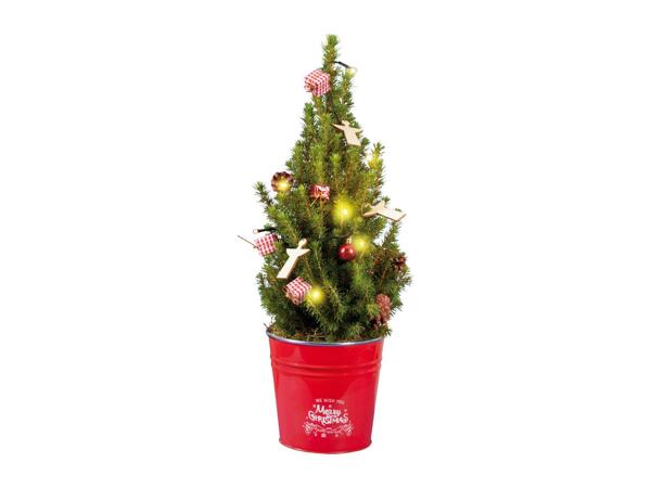 Small Christmas Tree with Lights and Decorations