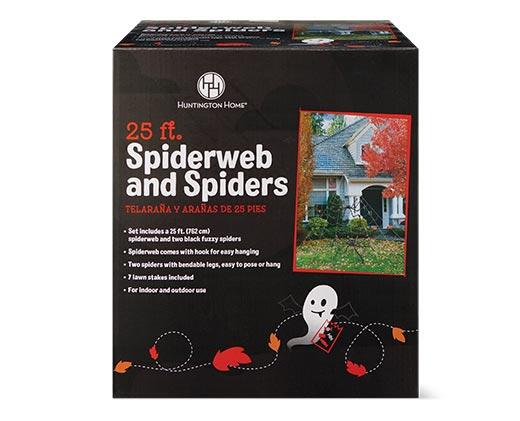Huntington Home 
 25' Spiderweb and Spiders