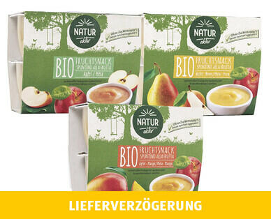 NATUR AKTIV 
 BIO-FRUCHTSNACK
