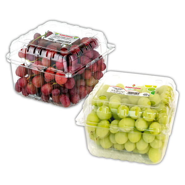 Premium Tafeltrauben kernlos