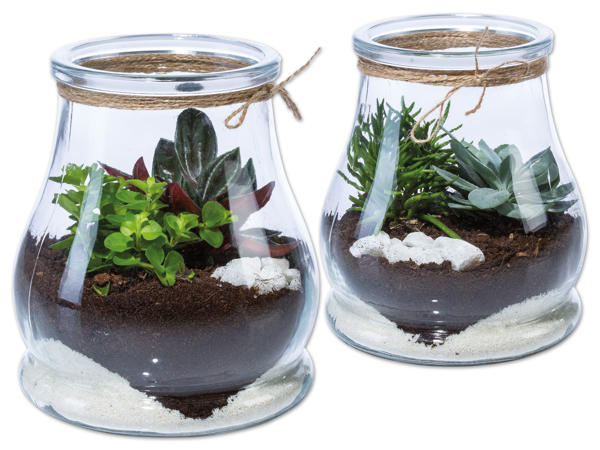 Mini Garten Maritim
