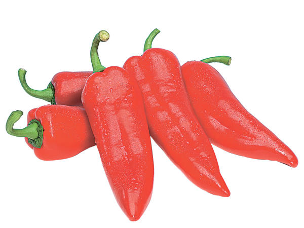 Spitzpaprika rot
