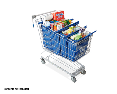 Trolley Bags